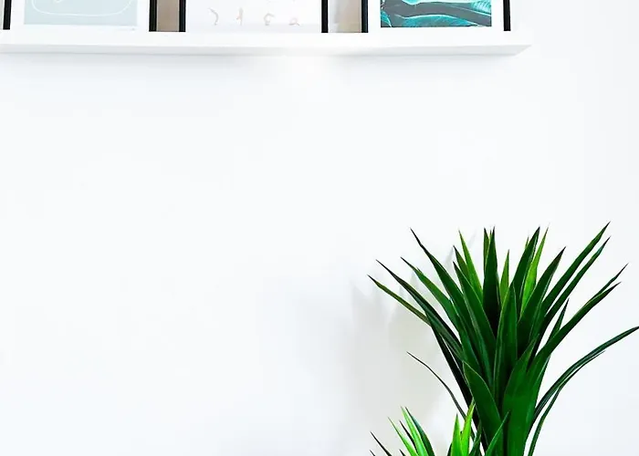 Adua1 * 斯特雷萨